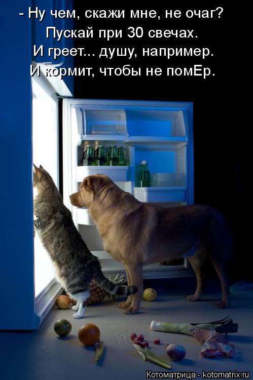 Котоматрица: - Ну чем, скажи мне, не очаг? Пускай при 30 свечах. И греет... душу, например.  И кормит, чтобы не помЕр.
