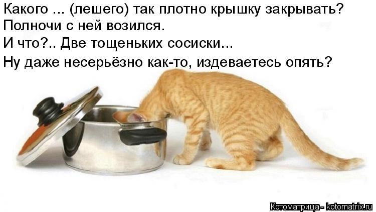Котоматрица: Какого ... (лешего) так плотно крышку закрывать? Полночи с ней возился.  И что?.. Две тощеньких сосиски...     Ну даже несерьёзно как-то, издеваете