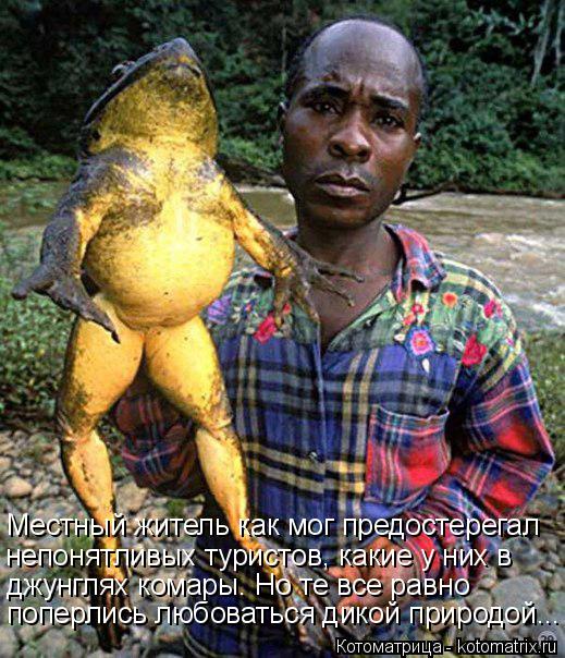 Котоматрица: Местный житель как мог предостерегал непонятливых туристов, какие у них в  джунглях комары. Но те все равно поперлись любоваться дикой прир