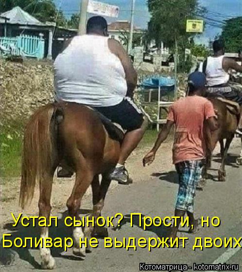 Котоматрица: Устал сынок? Прости, но Боливар не выдержит двоих