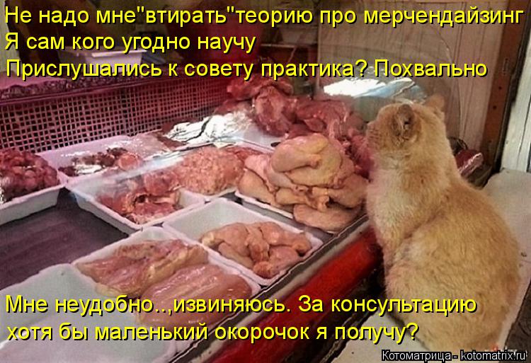 Котоматрица: Не надо мне"втирать"теорию про мерчендайзинг Я сам кого угодно научу Прислушались к совету практика? Похвально Мне неудобно..,извиняюсь. За 