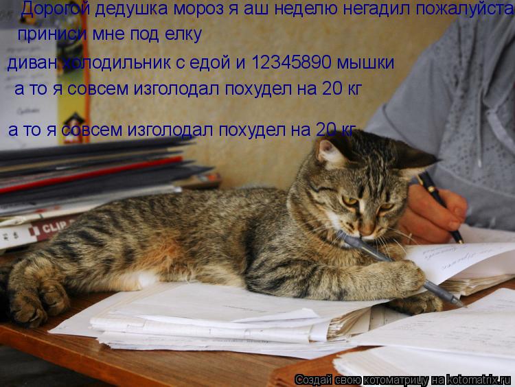 Котоматрица: Дорогой дедушка мороз я аш неделю негадил пожалуйста прениси мне новый  диван холодильник с едой и 12345890 мышки а то я совсем изголодал похуд