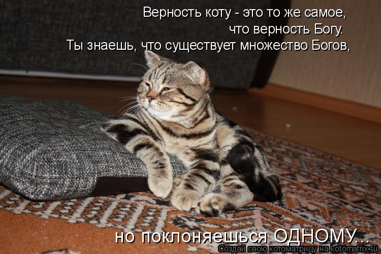 Котоматрица: Верность коту - это то же самое,  что верность Богу. Ты знаешь, что существует множество Богов,  но поклоняешься ОДНОМУ...