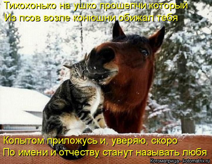 Котоматрица: Тихохонько на ушко прошепчи который Из псов возле конюшни обижал тебя Копытом приложусь и, уверяю, скоро По имени и отчеству станут называт