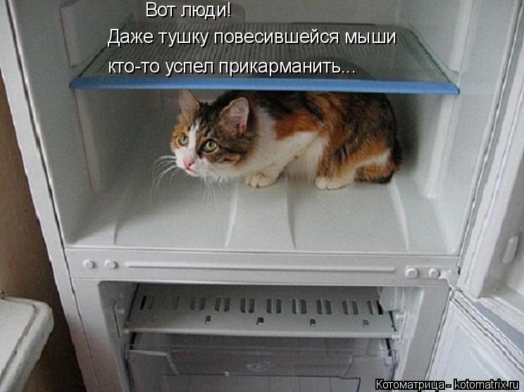 Котоматрица: Вот люди!  Даже тушку повесившейся мыши кто-то успел прикарманить...