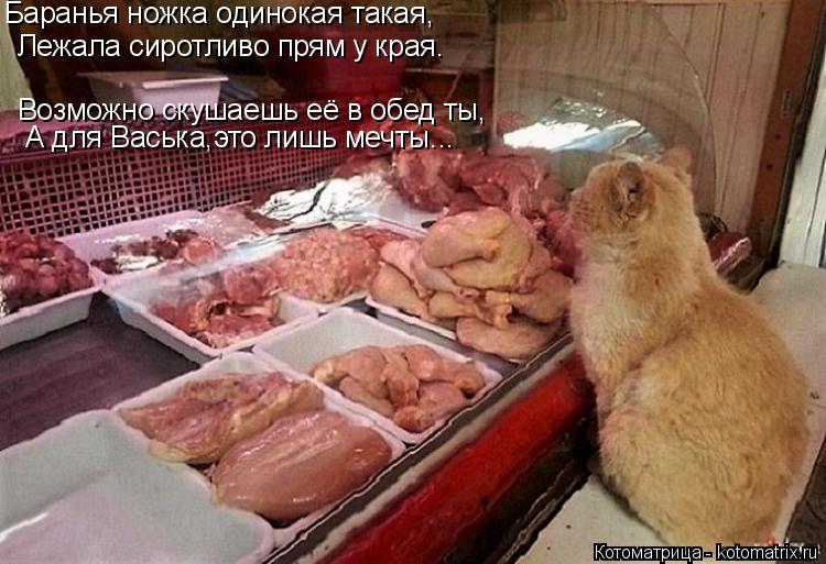 Котоматрица: Баранья ножка одинокая такая, Лежала сиротливо прям у края. Возможно скушаешь её в обед ты, А для Васька,это лишь мечты...