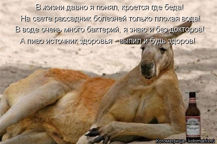 В жизни давно я понял, кроется где беда! В воде очень много бактерий, я знаю и без докторов! На свет... Котоматрица: В жизни давно я понял, кроется где беда! В воде очень много бактерий, я знаю и без докторов! На свете рассадник болезней только плохая вода! А