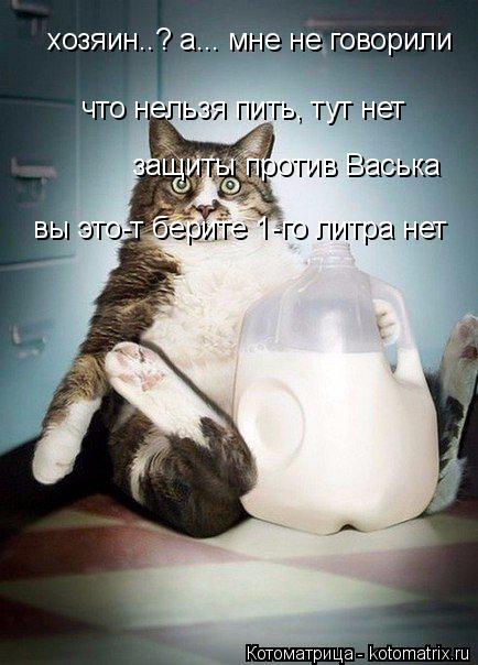 Котоматрица: что нельзя пить, тут нет защиты против Васька вы это-т берите 1-го литра нет хозяин..? а... мне не говорили