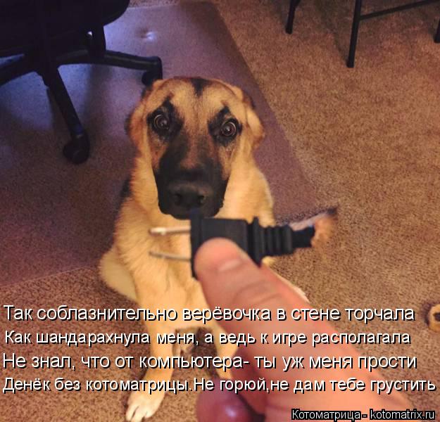 Котоматрица: Так соблазнительно верёвочка в стене торчала Не знал, что от компьютера- ты уж меня прости Как шандарахнула меня, а ведь к игре располагала 
