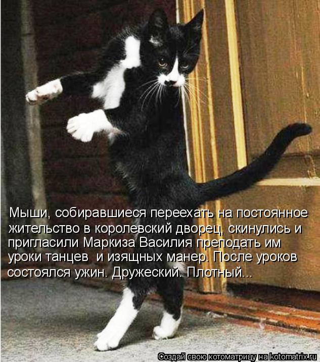 Мыши, собиравшиеся переехать на постоянное жительство в королевский дворец, скинулись и пригласили Ма... Котоматрица: Мыши, собиравшиеся переехать на постоянное жительство в королевский дворец, скинулись и пригласили Маркиза Василия преподать им уроки тан