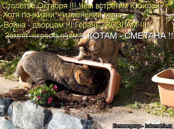 Столетье Октября !!! Чем встретим Юбилей? Хотя по-жизни... изменений мало - Война - дворцам !!! Геран... Котоматрица: Столетье Октября !!! Чем встретим Юбилей? Хотя по-жизни... изменений мало - Война - дворцам !!! Герань - КОЗЛАМ !!! Земля - крестьянам ! ---------------------