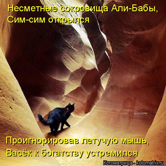 Несметные сокровища Али-Бабы, Сим-сим открылся Проигнорировав летучую мышь, Васёк к богатству устреми... Котоматрица: Несметные сокровища Али-Бабы, Сим-сим открылся Проигнорировав летучую мышь, Васёк к богатству устремился
