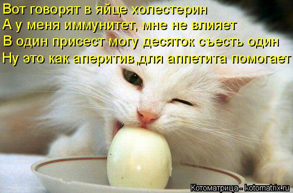 Вот говорят в яйце холестерин А у меня иммунитет, мне не влияет В один присест могу десяток съесть од... Котоматрица: Вот говорят в яйце холестерин А у меня иммунитет, мне не влияет В один присест могу десяток съесть один Ну это как аперитив,для аппетита пом