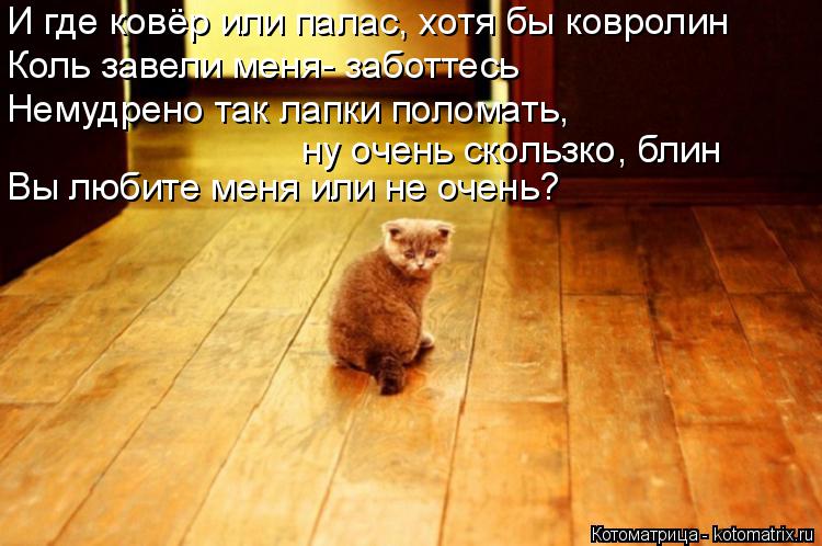 Котоматрица: И где ковёр или палас, хотя бы ковролин Коль завели меня- заботтесь Немудрено так лапки поломать, ну очень скользко, блин Вы любите меня или 