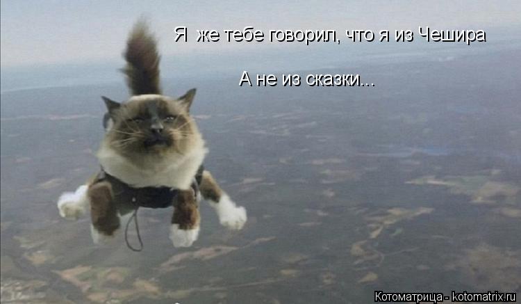 Я же тебе говорил, что я из Чешира А не из сказки...... Котоматрица: Я же тебе говорил, что я из Чешира А не из сказки...