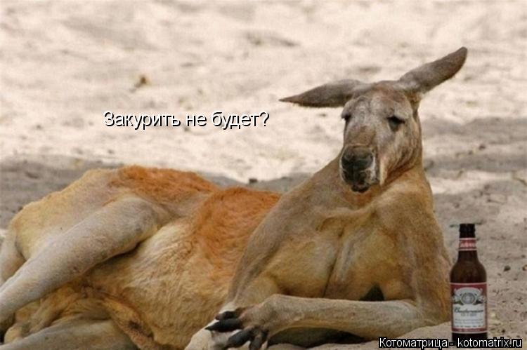 Закурить не будет?... Котоматрица: Закурить не будет?