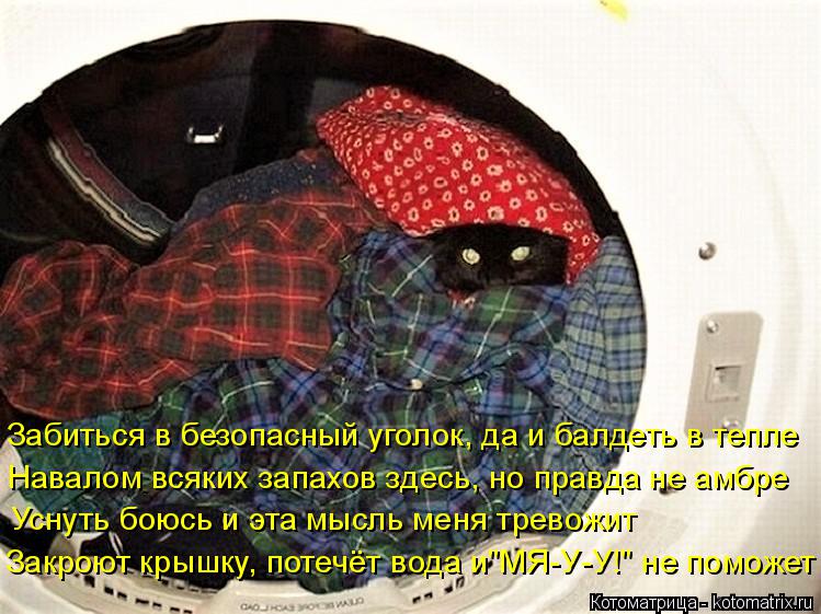 Забиться в безопасный уголок, да и балдеть в тепле Навалом всяких запахов здесь, но правда не амбре У... Котоматрица: Забиться в безопасный уголок, да и балдеть в тепле Навалом всяких запахов здесь, но правда не амбре Уснуть боюсь и эта мысль меня тревожит З