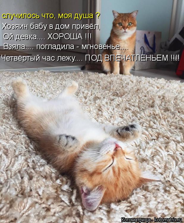Котоматрица: случилось что, моя душа ? Хозяин бабу в дом привёл, Ой девка.... ХОРОША !!! Взяла.... погладила - мгновенье.... Четвёртый час лежу.... ПОД ВПЕЧАТЛЕНЬЕ