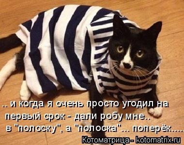 .. и когда я очень просто угодил на первый срок - дали робу мне.. в "полоску", а "полоска"... поперёк... Котоматрица: .. и когда я очень просто угодил на первый срок - дали робу мне.. в "полоску", а "полоска"... поперёк.....