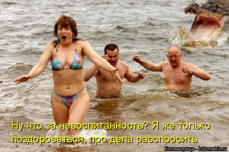 Ну что за невоспитанность? Я же только поздороваться, про дела расспросить... Котоматрица: Ну что за невоспитанность? Я же только поздороваться, про дела расспросить