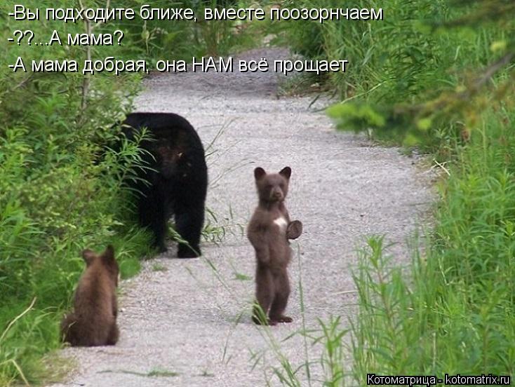 -Вы подходите ближе, вместе поозорнчаем -??...А мама? -А мама добрая, она НАМ всё прощает... Котоматрица: -Вы подходите ближе, вместе поозорнчаем -??...А мама? -А мама добрая, она НАМ всё прощает