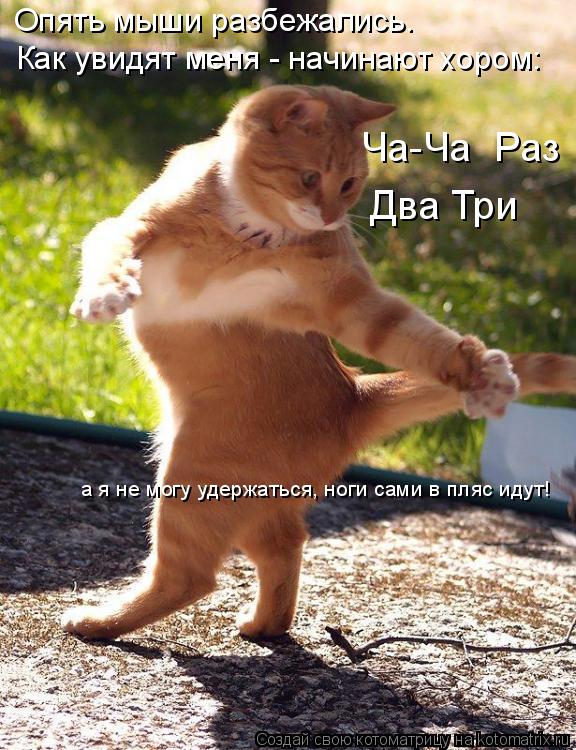 Опять мыши разбежались. Как увидят меня - начинают хором: Ча-Ча Раз Два Три а я не могу удержаться, ... Котоматрица: Опять мыши разбежались. Как увидят меня - начинают хором: Ча-Ча Раз Два Три а я не могу удержаться, ноги сами в пляс идут!