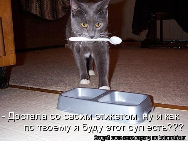 по твоему я буду этот суп есть??? - Достала со своим этикетом, ну и как... Котоматрица: по твоему я буду этот суп есть??? - Достала со своим этикетом, ну и как