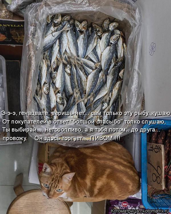 Э-э-э, генацвале, веришь-нет... сам только эту рыбу..кушаю От покупателей в ответ "болшой спасыбо" то... Котоматрица: Э-э-э, генацвале, веришь-нет... сам только эту рыбу..кушаю От покупателей в ответ "болшой спасыбо" толко слушаю, Ты выбирай.... неторопливо, а я т