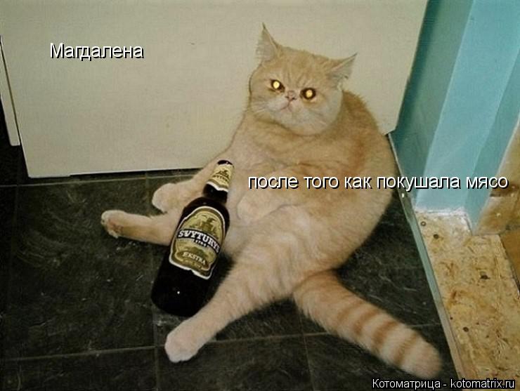 Магдалена после того как покушала мясо после того как покушала мясо... Котоматрица: Магдалена после того как покушала мясо после того как покушала мясо