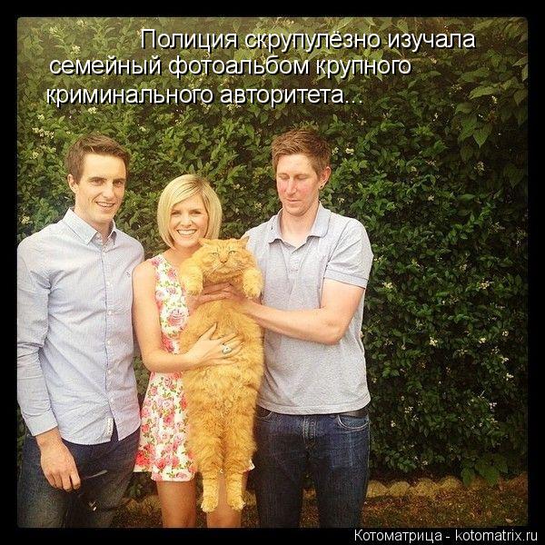 Полиция скрупулёзно изучала семейный фотоальбом крупного криминального авторитета...... Котоматрица: Полиция скрупулёзно изучала семейный фотоальбом крупного криминального авторитета...