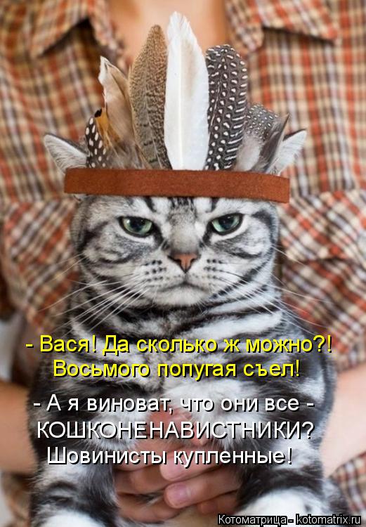 - Вася! Да сколько ж можно?! Восьмого попугая съел! - А я виноват, что они все - КОШКОНЕНАВИСТНИКИ? Ш... Котоматрица: - Вася! Да сколько ж можно?! Восьмого попугая съел! - А я виноват, что они все - КОШКОНЕНАВИСТНИКИ? Шовинисты купленные!