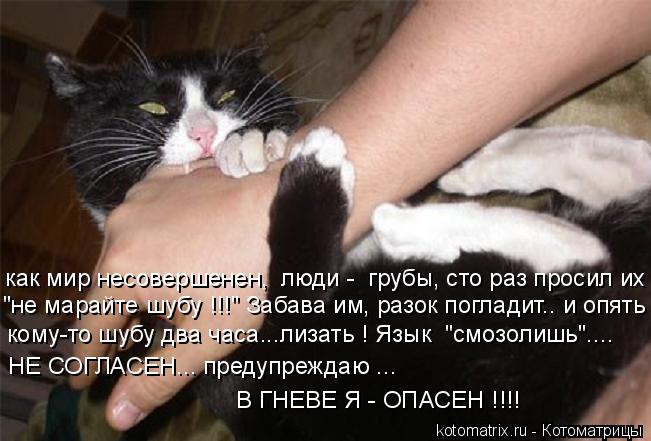 как мир несовершенен, люди - грубы, сто раз просил их "не марайте шубу !!!" Забава им, разок поглад... Котоматрица: как мир несовершенен, люди - грубы, сто раз просил их "не марайте шубу !!!" Забава им, разок погладит.. и опять кому-то шубу два часа...лизать ! Яз