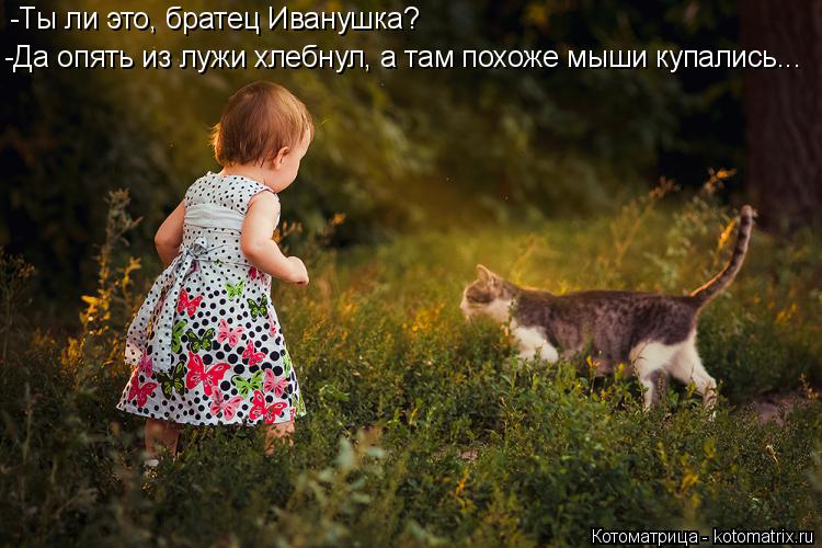 -Ты ли это, братец Иванушка? -Да опять из лужи хлебнул, а там похоже мыши купались...... Котоматрица: -Ты ли это, братец Иванушка? -Да опять из лужи хлебнул, а там похоже мыши купались...