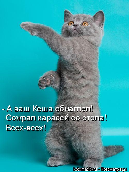 - А ваш Кеша обнаглел! Сожрал карасей со стола! Всех-всех!... Котоматрица: - А ваш Кеша обнаглел! Сожрал карасей со стола! Всех-всех!