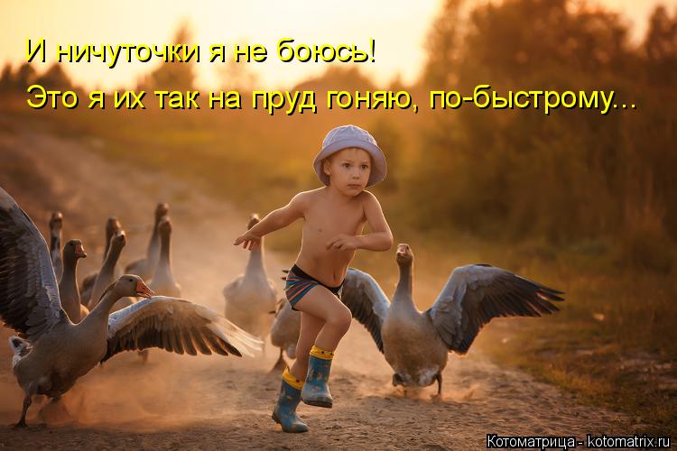 И ничуточки я не боюсь! Это я их так на пруд гоняю, по-быстрому...... Котоматрица: И ничуточки я не боюсь! Это я их так на пруд гоняю, по-быстрому...