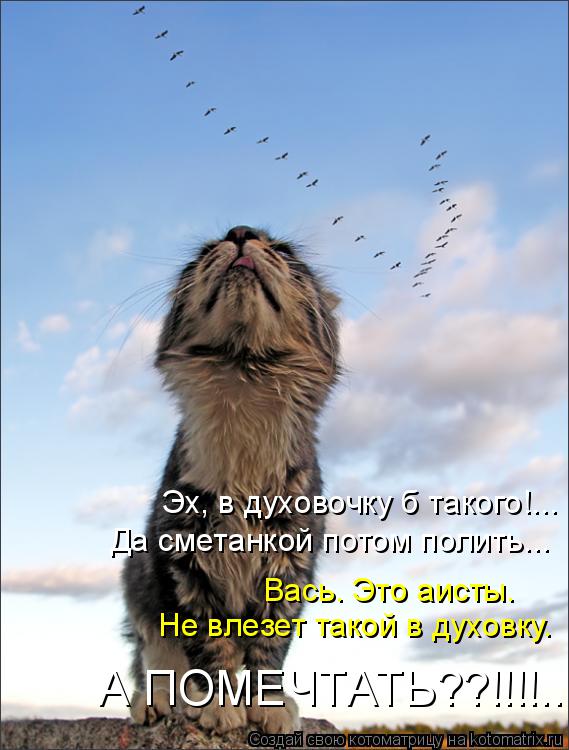 Не влезет такой в духовку. Эх, в духовочку б такого!... Да сметанкой потом полить... Вась. Это аисты.... Котоматрица: Не влезет такой в духовку. Эх, в духовочку б такого!... Да сметанкой потом полить... Вась. Это аисты. А ПОМЕЧТАТЬ??!!!!....