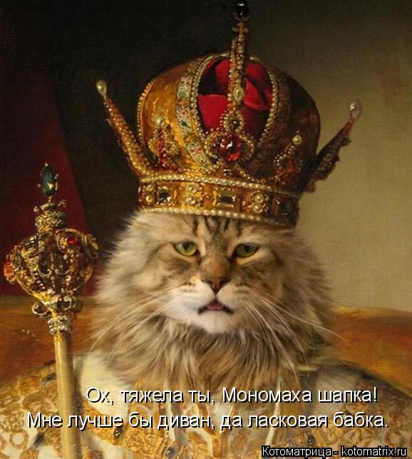 Ох, тяжела ты, Мономаха шапка! Мне лучше бы диван, да ласковая бабка.... Котоматрица: Ох, тяжела ты, Мономаха шапка! Мне лучше бы диван, да ласковая бабка.