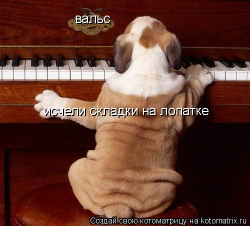 вальс исчели складки на лопатке... Котоматрица: вальс исчели складки на лопатке