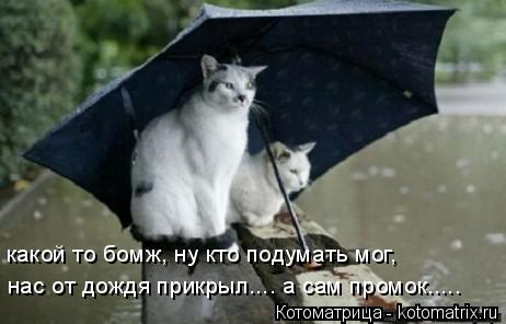 какой то бомж, ну кто подумать мог, нас от дождя прикрыл.... а сам промок........ Котоматрица: какой то бомж, ну кто подумать мог, нас от дождя прикрыл.... а сам промок.....