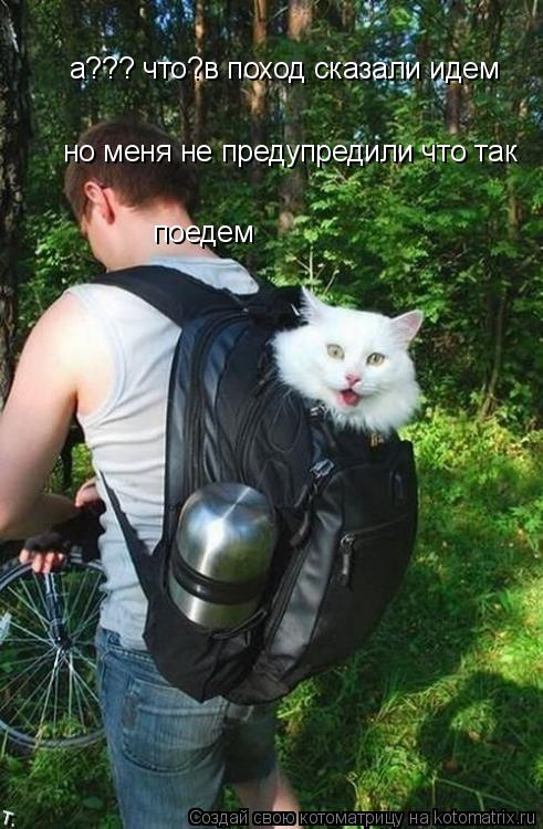 а??? что?в поход сказали идем но меня не предупредили что так поедем поедем... Котоматрица: а??? что?в поход сказали идем но меня не предупредили что так поедем поедем