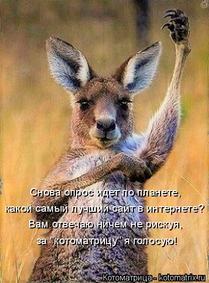 какой самый лучший сайт в интернете? Снова опрос идет по планете, Вам отвечаю ничем не рискуя, за "ко... Котоматрица: какой самый лучший сайт в интернете? Снова опрос идет по планете, Вам отвечаю ничем не рискуя, за "котоматрицу" я голосую!