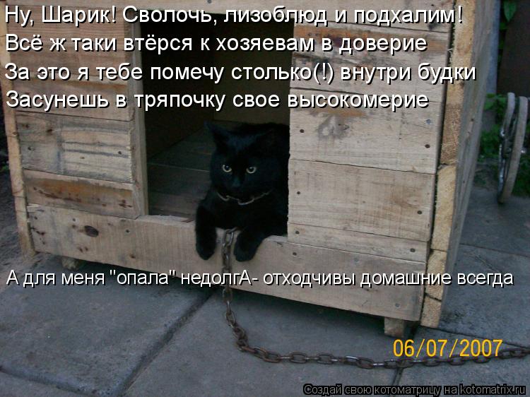 Ну, Шарик! Сволочь, лизоблюд и подхалим! Всё ж таки втёрся к хозяевам в доверие За это я тебе помечу ... Котоматрица: Ну, Шарик! Сволочь, лизоблюд и подхалим! Всё ж таки втёрся к хозяевам в доверие За это я тебе помечу столько(!) внутри будки Засунешь в тряпочк