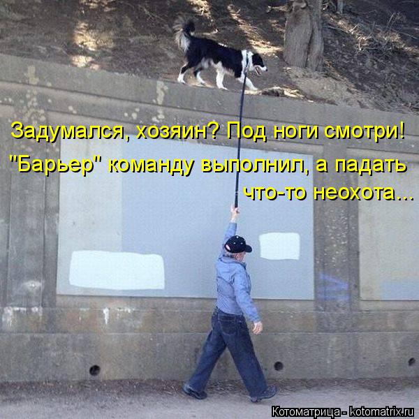 Задумался, хозяин? Под ноги смотри! "Барьер" команду выполнил, а падать что-то неохота...... Котоматрица: Задумался, хозяин? Под ноги смотри! "Барьер" команду выполнил, а падать что-то неохота...