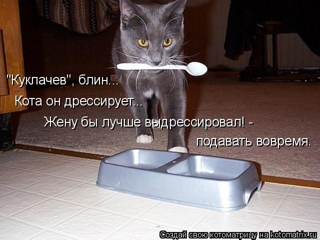 "Куклачев", блин... Кота он дрессирует... Жену бы лучше выдрессировал! - подавать вовремя.... Котоматрица: "Куклачев", блин... Кота он дрессирует... Жену бы лучше выдрессировал! - подавать вовремя.