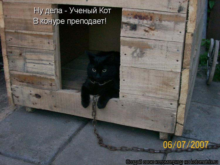 Ну дела - Ученый Кот В конуре преподает!... Котоматрица: Ну дела - Ученый Кот В конуре преподает!