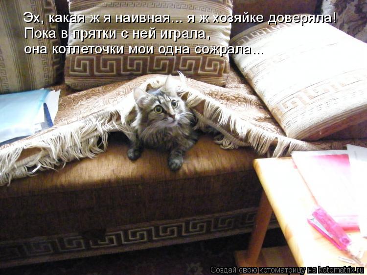 Котоматрица: Эх, какая ж я наивная... я ж хозяйке доверяла! Пока в прятки с ней играла,  она котлеточки мои одна сожрала...