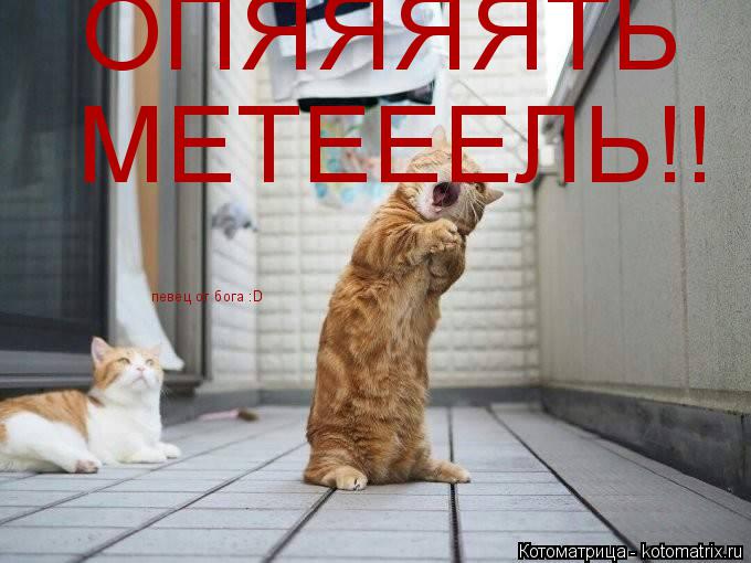 ОПЯЯЯЯТЬ МЕТЕЕЕЛЬ!! певец от бога :D... Котоматрица: ОПЯЯЯЯТЬ МЕТЕЕЕЛЬ!! певец от бога :D