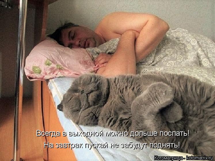 Всегда в выходной можно дольше поспать! На завтрак пускай не забудут поднять!... Котоматрица: Всегда в выходной можно дольше поспать! На завтрак пускай не забудут поднять!