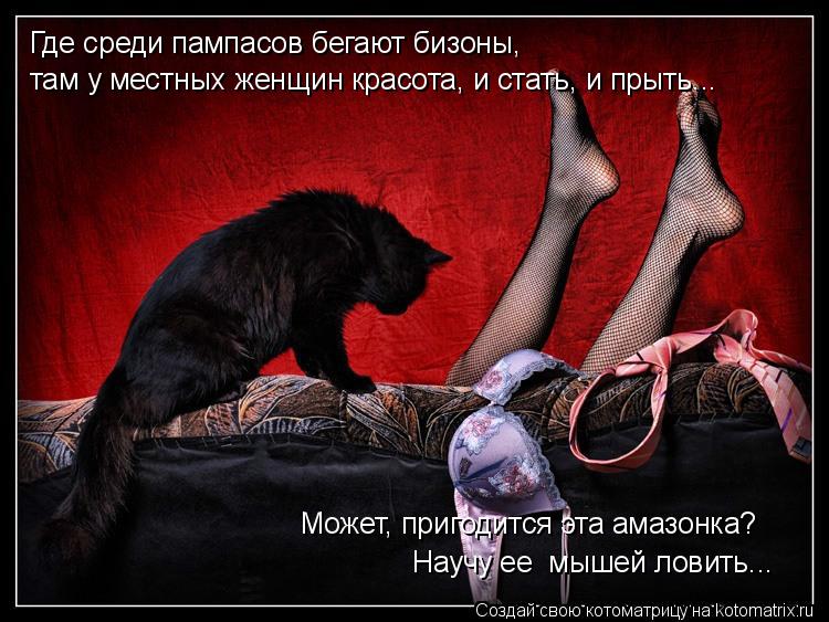 Где среди пампасов бегают бизоны, там у местных женщин красота, и стать, и прыть... Может, пригодитс... Котоматрица: Где среди пампасов бегают бизоны, там у местных женщин красота, и стать, и прыть... Может, пригодится эта амазонка? Научу ее мышей ловить...