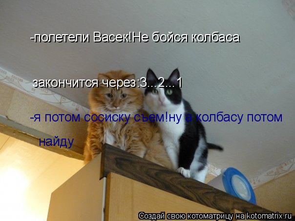 -полетели Васек!Не бойся колбаса закончится через:3...2...1 -я потом сосиску съем!ну а колбасу потом... Котоматрица: -полетели Васек!Не бойся колбаса закончится через:3...2...1 -я потом сосиску съем!ну а колбасу потом найду найду